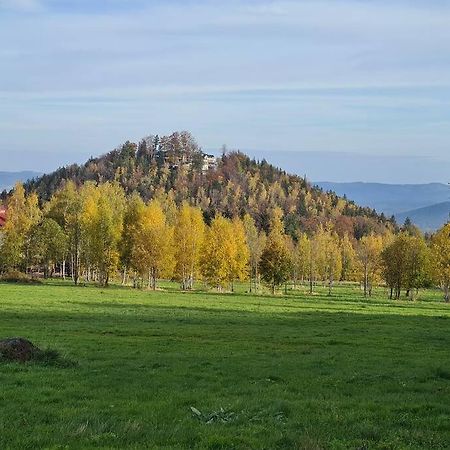 Rezydencja Green Hill - Ekskluzywny Dom W Karpaczu Exteriér fotografie