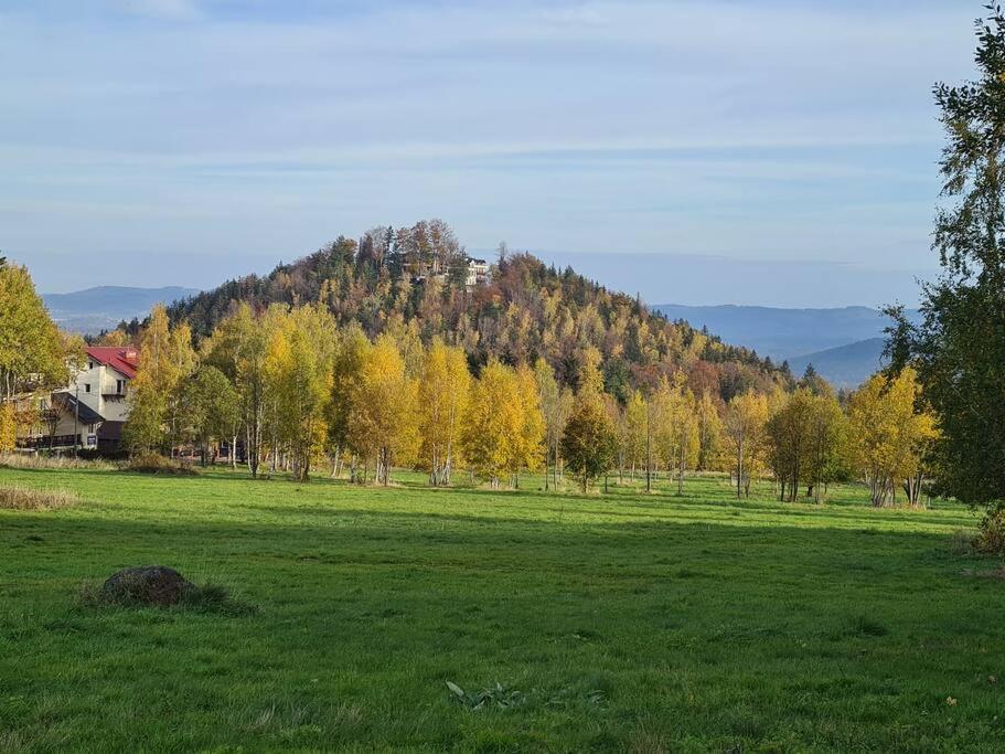 Rezydencja Green Hill - Ekskluzywny Dom W Karpaczu Exteriér fotografie