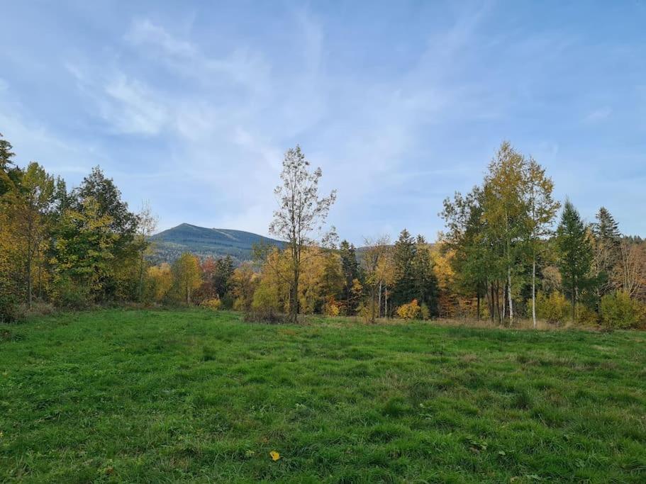 Rezydencja Green Hill - Ekskluzywny Dom W Karpaczu Exteriér fotografie